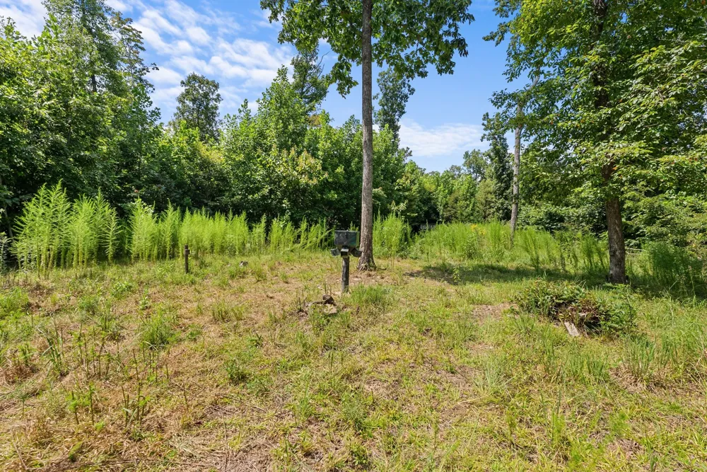 0 Sparkman Town Bone Cave Rd Doyle, TN 38559