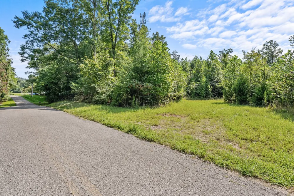0 Sparkman Town Bone Cave Rd Doyle, TN 38559