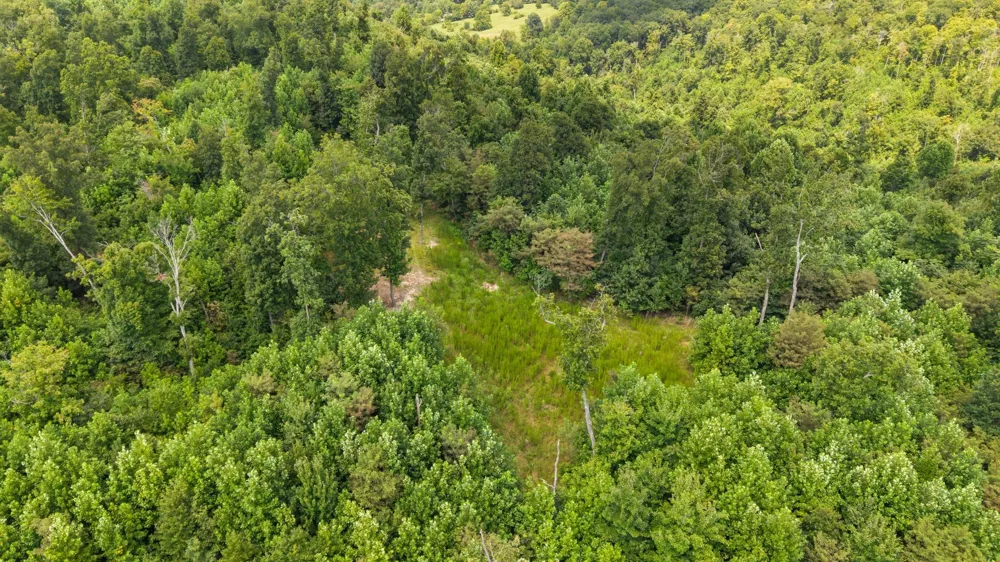 0 Sparkman Town Bone Cave Rd Doyle, TN 38559