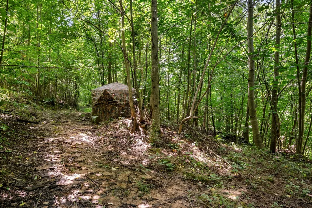 0 Sparkman Town Bone Cave Rd Doyle, TN 38559