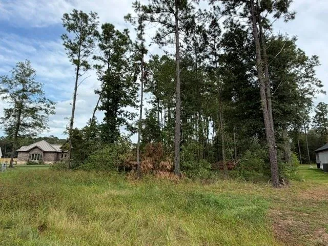 1216 Road 6604 Dayton, TX 77535