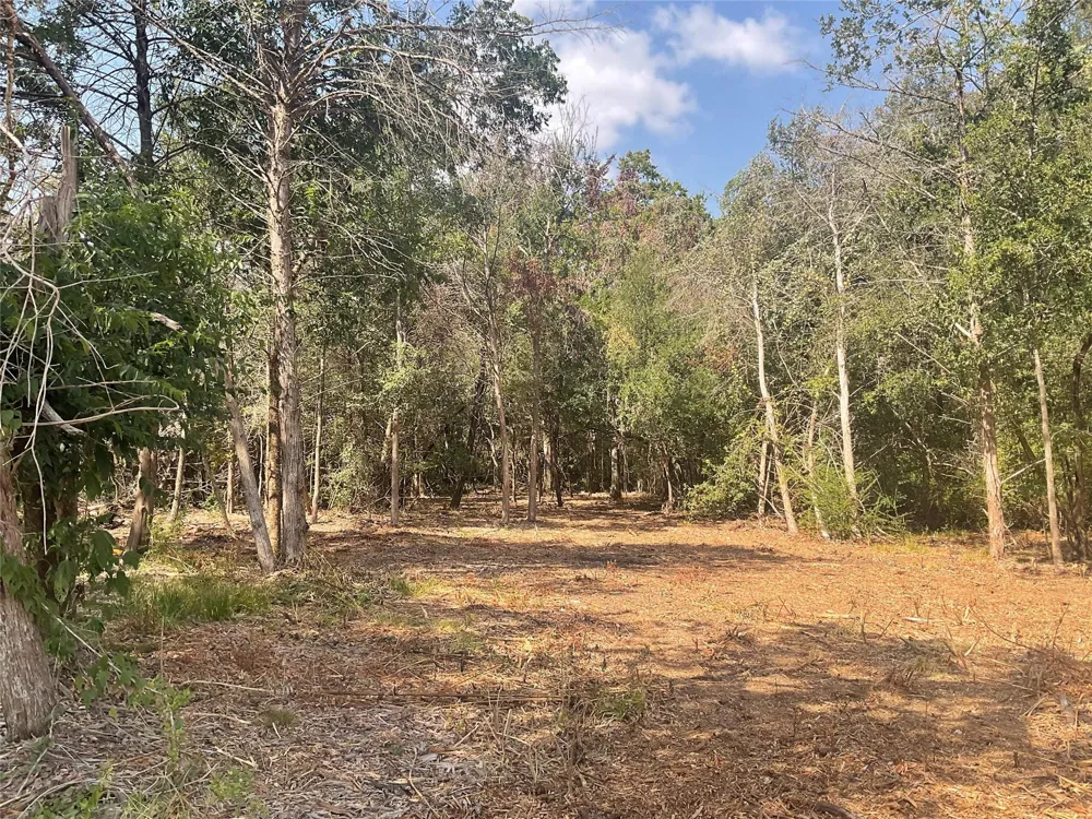 2805 Deer Road Brenham, TX 77833