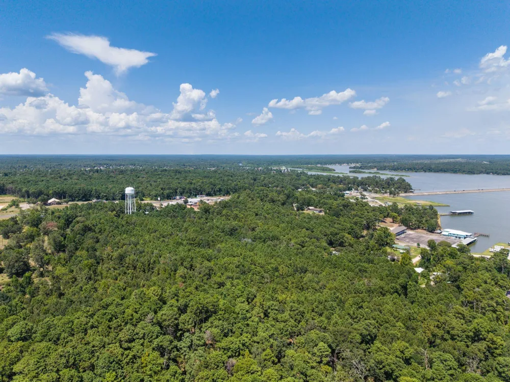 272 Artesian Onalaska, TX 77360