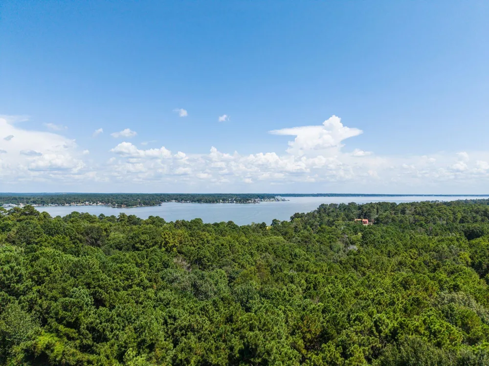 272 Artesian Onalaska, TX 77360