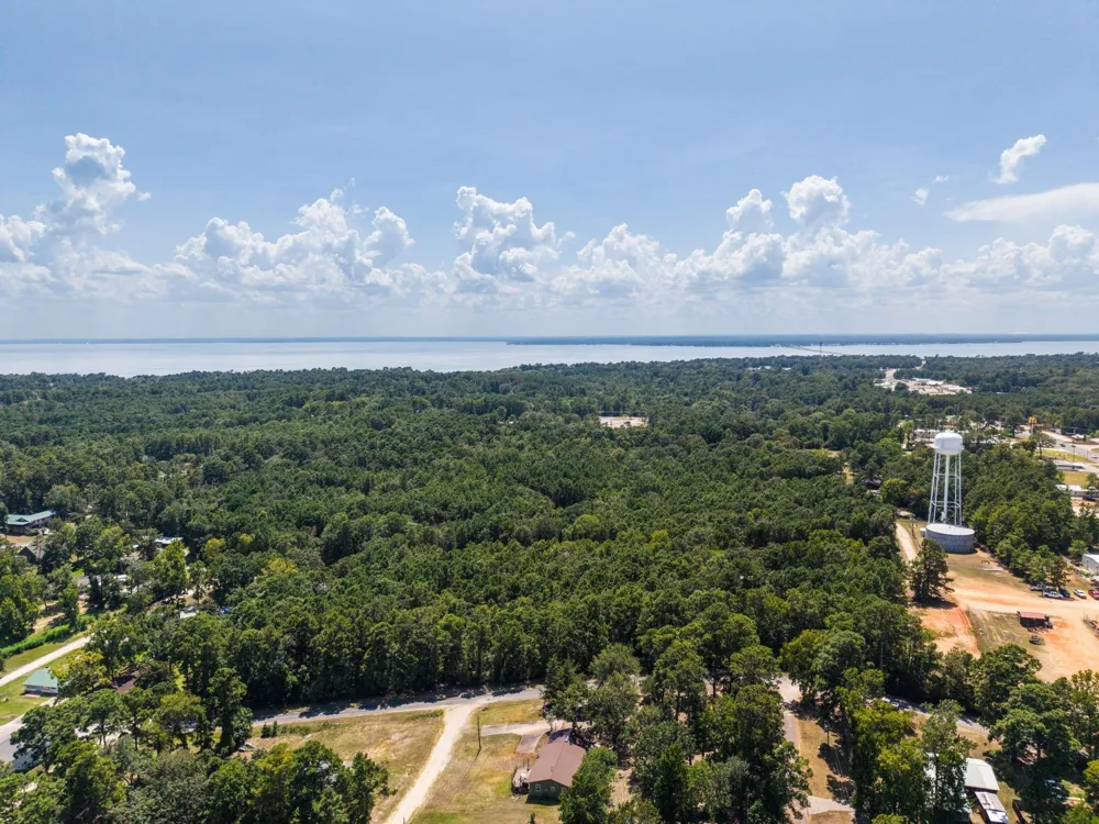 272 Artesian Onalaska, TX 77360