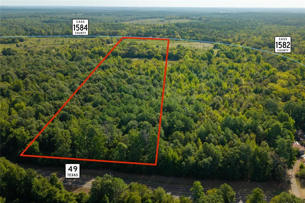 2 County Road 1584 Avinger, TX 75630