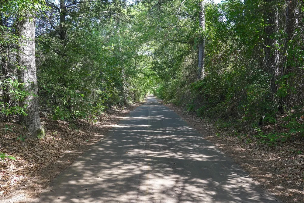 2 County Road 1584 Avinger, TX 75630