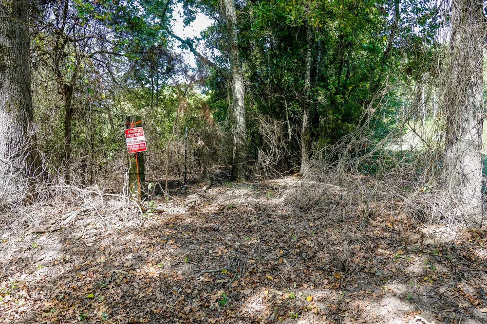 2 County Road 1584 Avinger, TX 75630