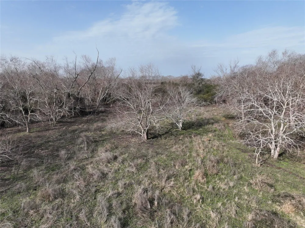 Schindler Road Alleyton, TX 78935