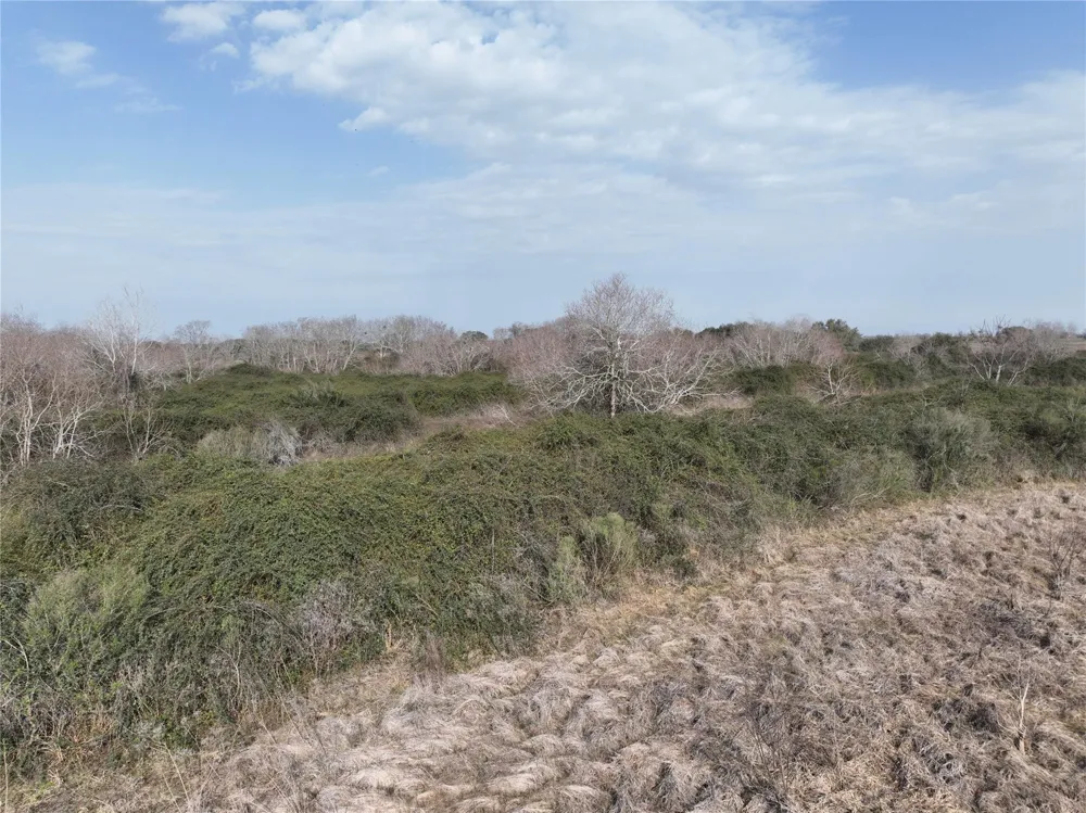 Schindler Road Alleyton, TX 78935