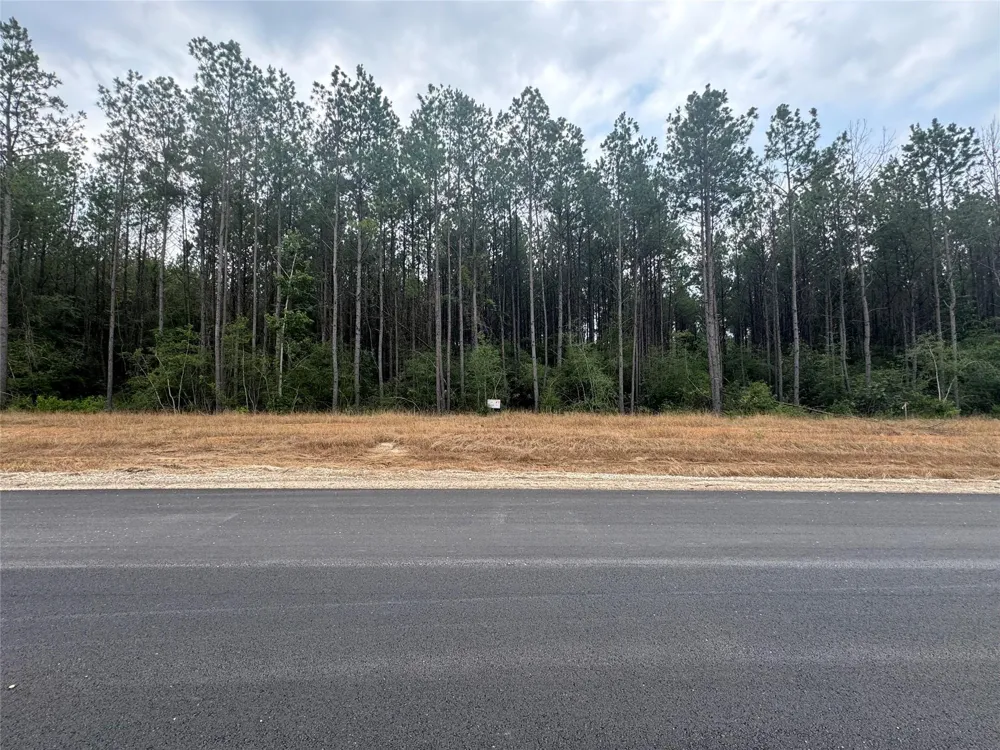 10634 Forest Mill Road Willis, TX 77378