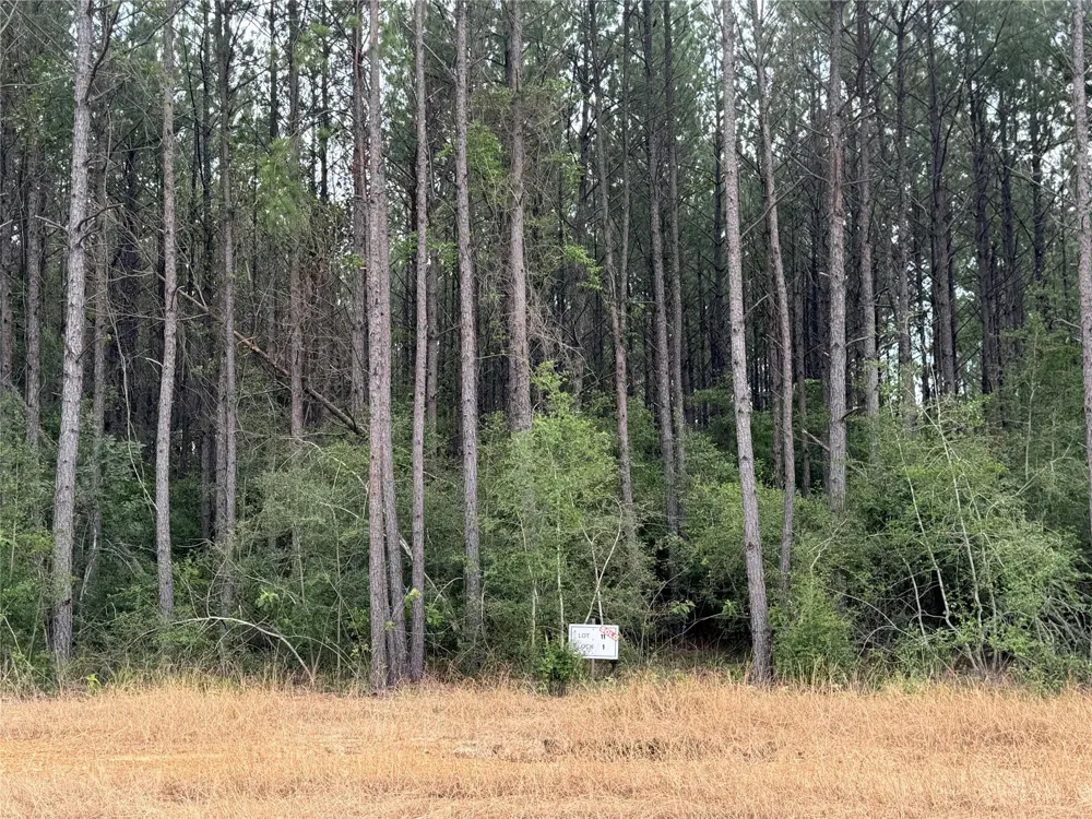 10634 Forest Mill Road Willis, TX 77378