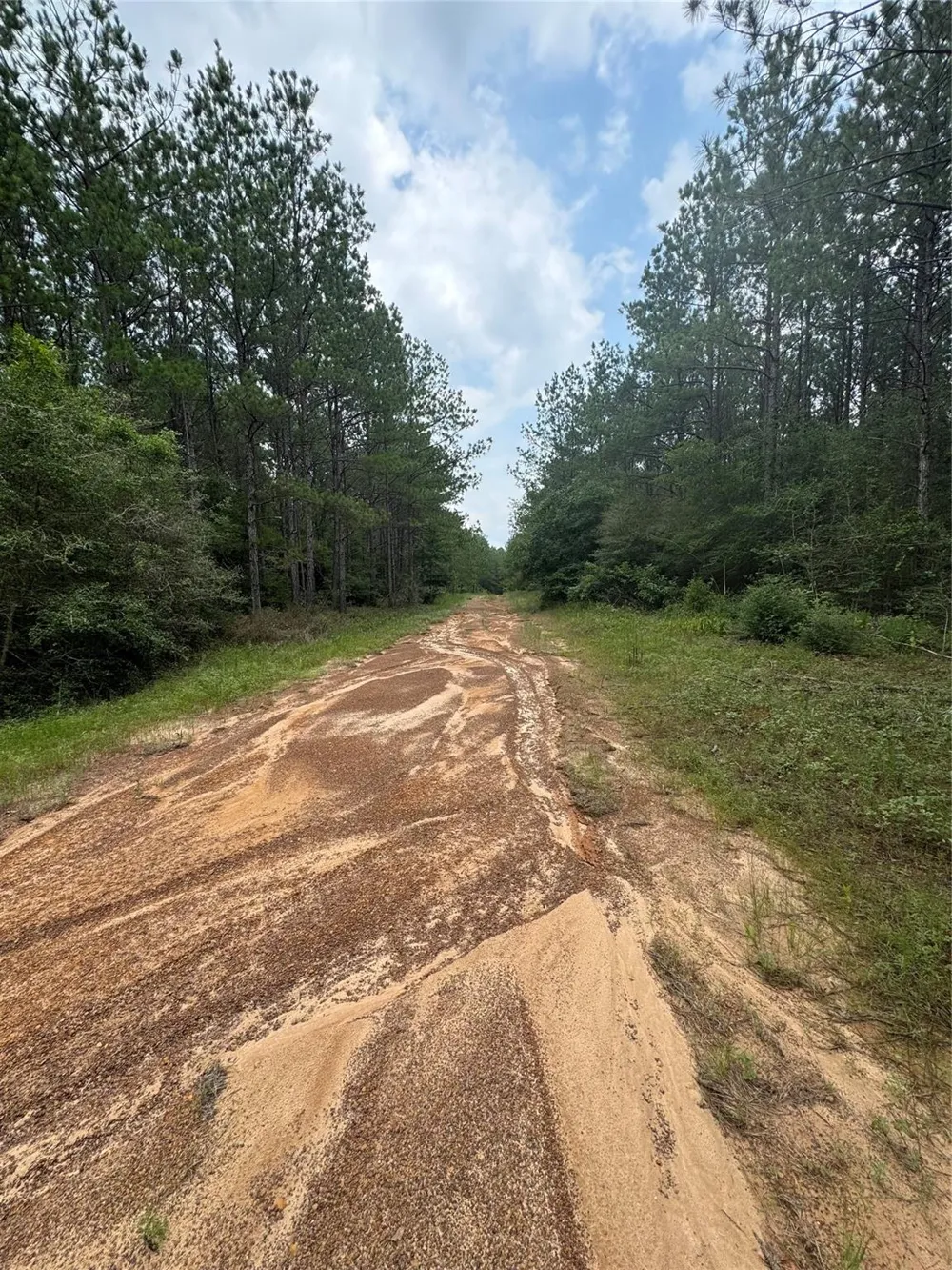 10634 Forest Mill Road Willis, TX 77378