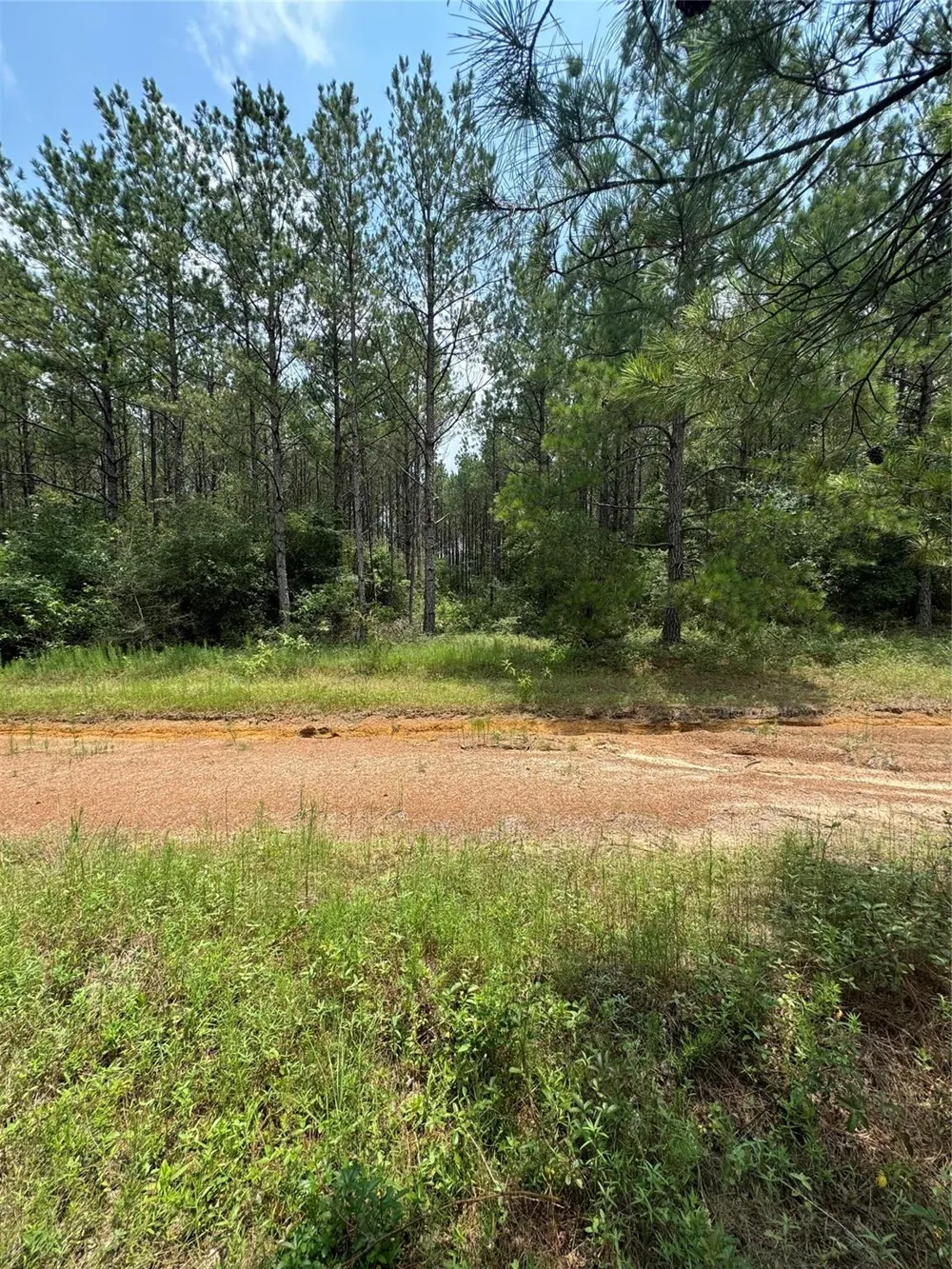 10634 Forest Mill Road Willis, TX 77378