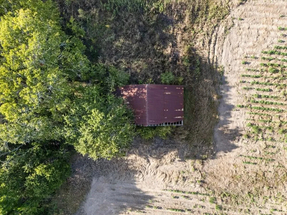 16020 Fm 1489 Road Wallis, TX 77485