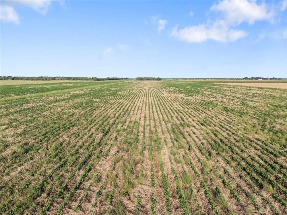 16020 Fm 1489 Road Wallis, TX 77485