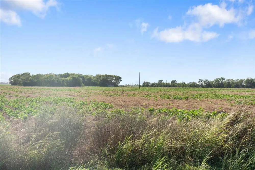 16020 Fm 1489 Road Wallis, TX 77485