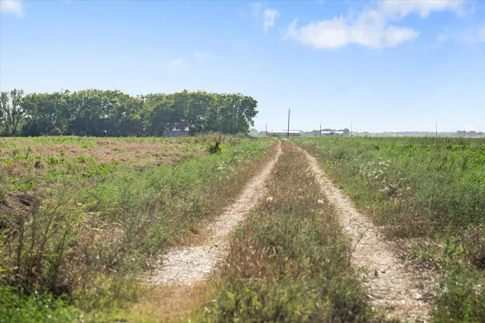 16020 Fm 1489 Road Wallis, TX 77485