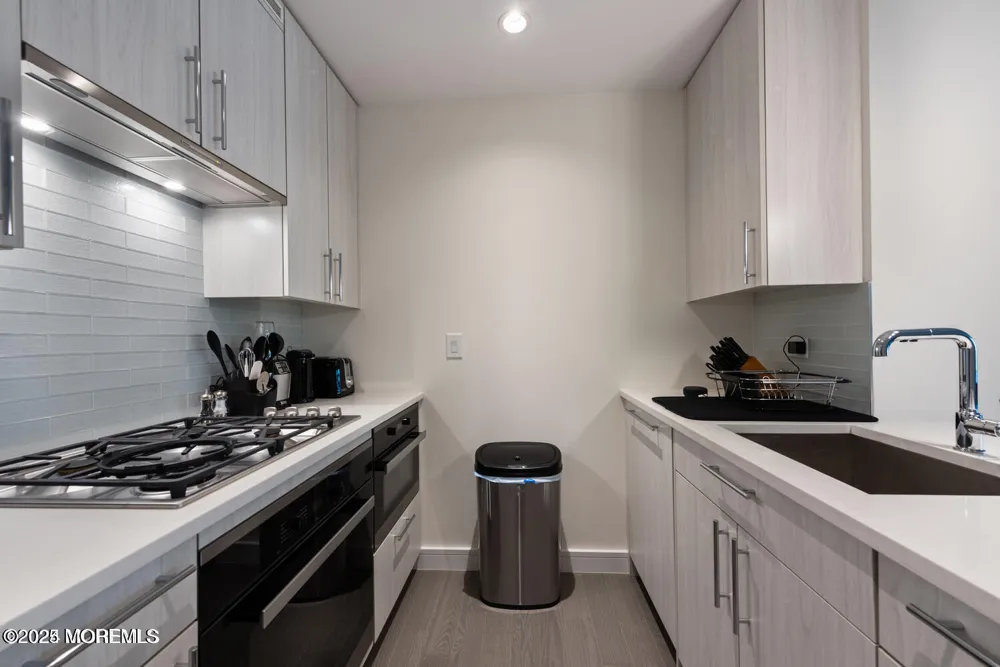 15 Morris Avenue #308 Long Branch, NJ 07740