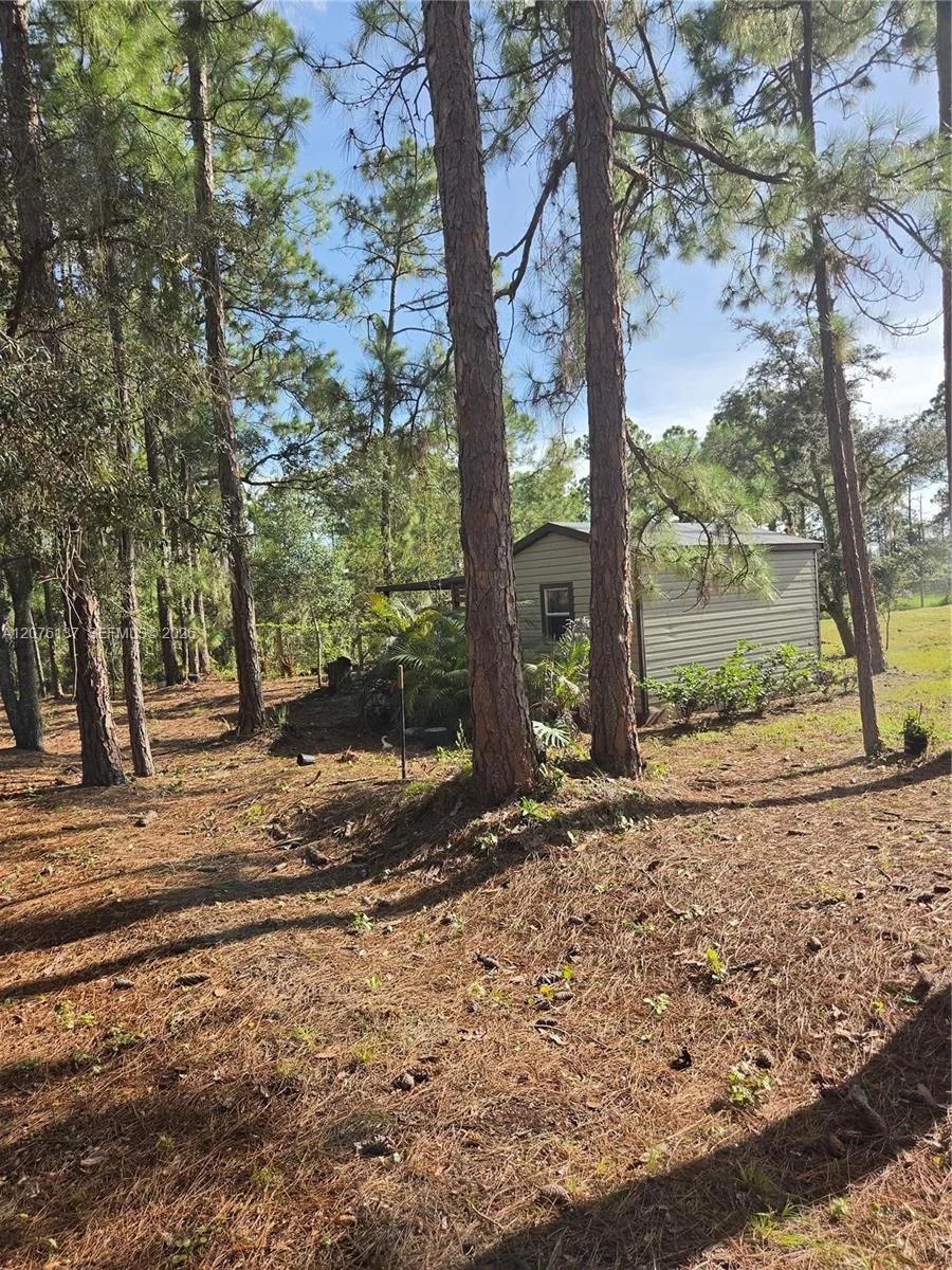 345 Rolling Hills Dr Lake Placid, FL 33852
