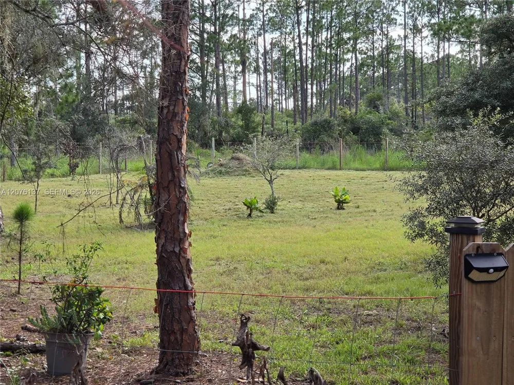 345 Rolling Hills Dr Lake Placid, FL 33852