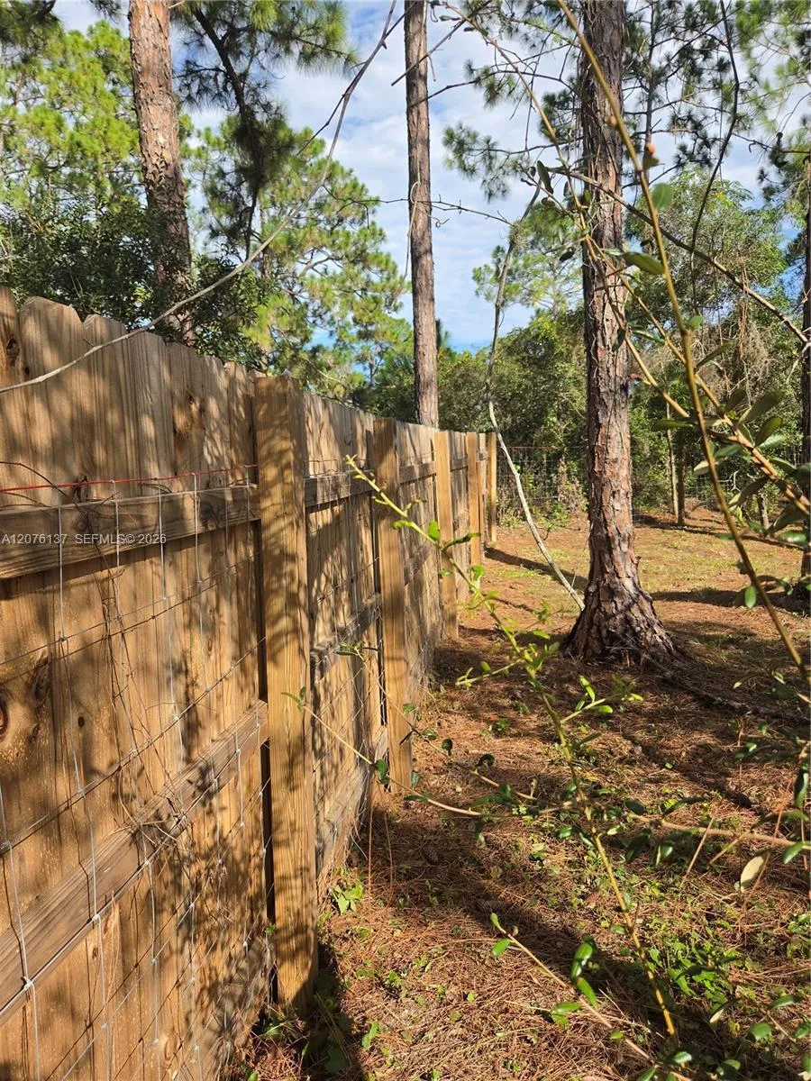 345 Rolling Hills Dr Lake Placid, FL 33852