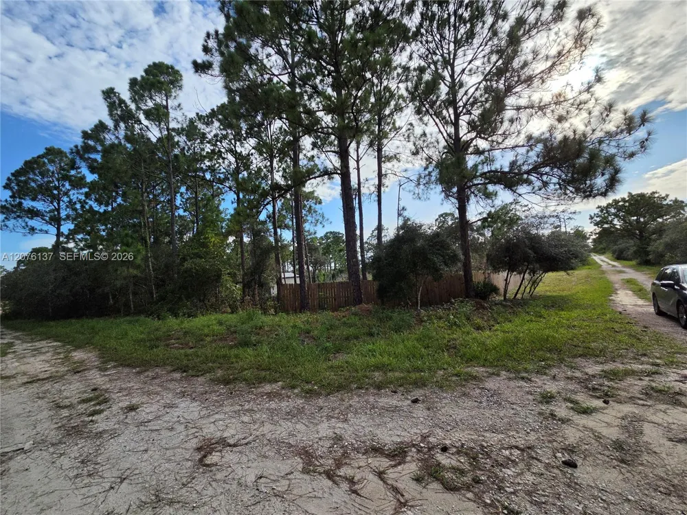 345 Rolling Hills Dr Lake Placid, FL 33852