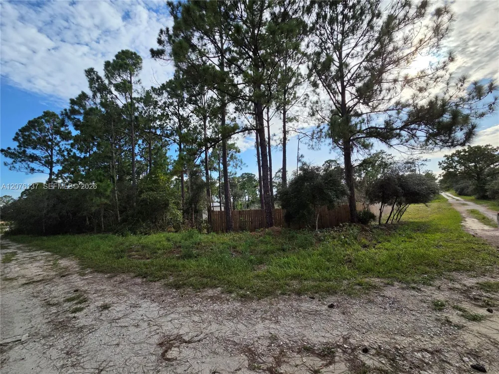 345 Rolling Hills Dr Lake Placid, FL 33852