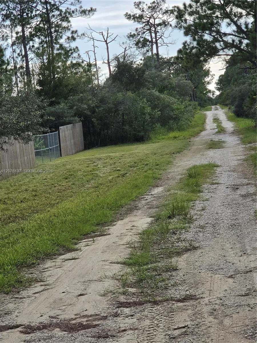 345 Rolling Hills Dr Lake Placid, FL 33852