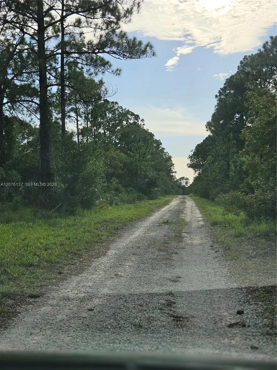 345 Rolling Hills Dr Lake Placid, FL 33852