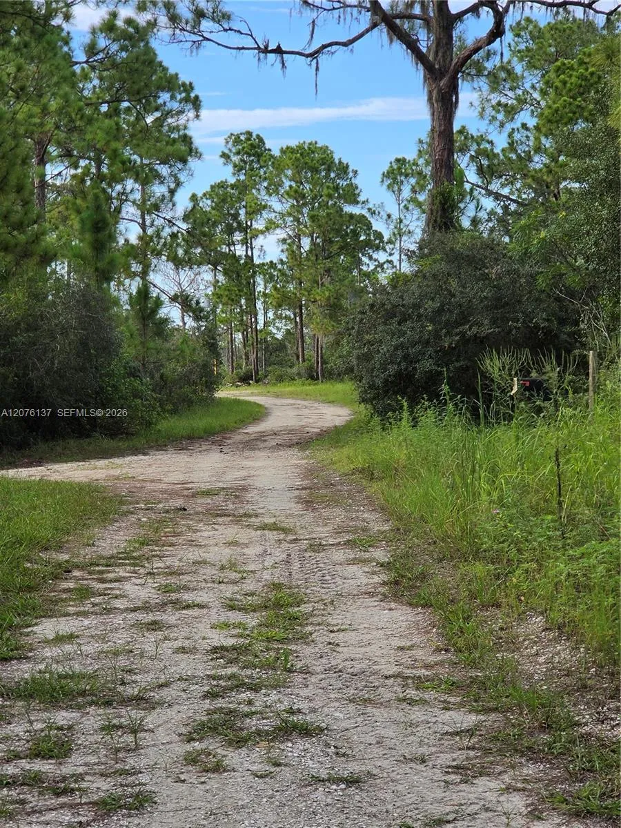 345 Rolling Hills Dr Lake Placid, FL 33852