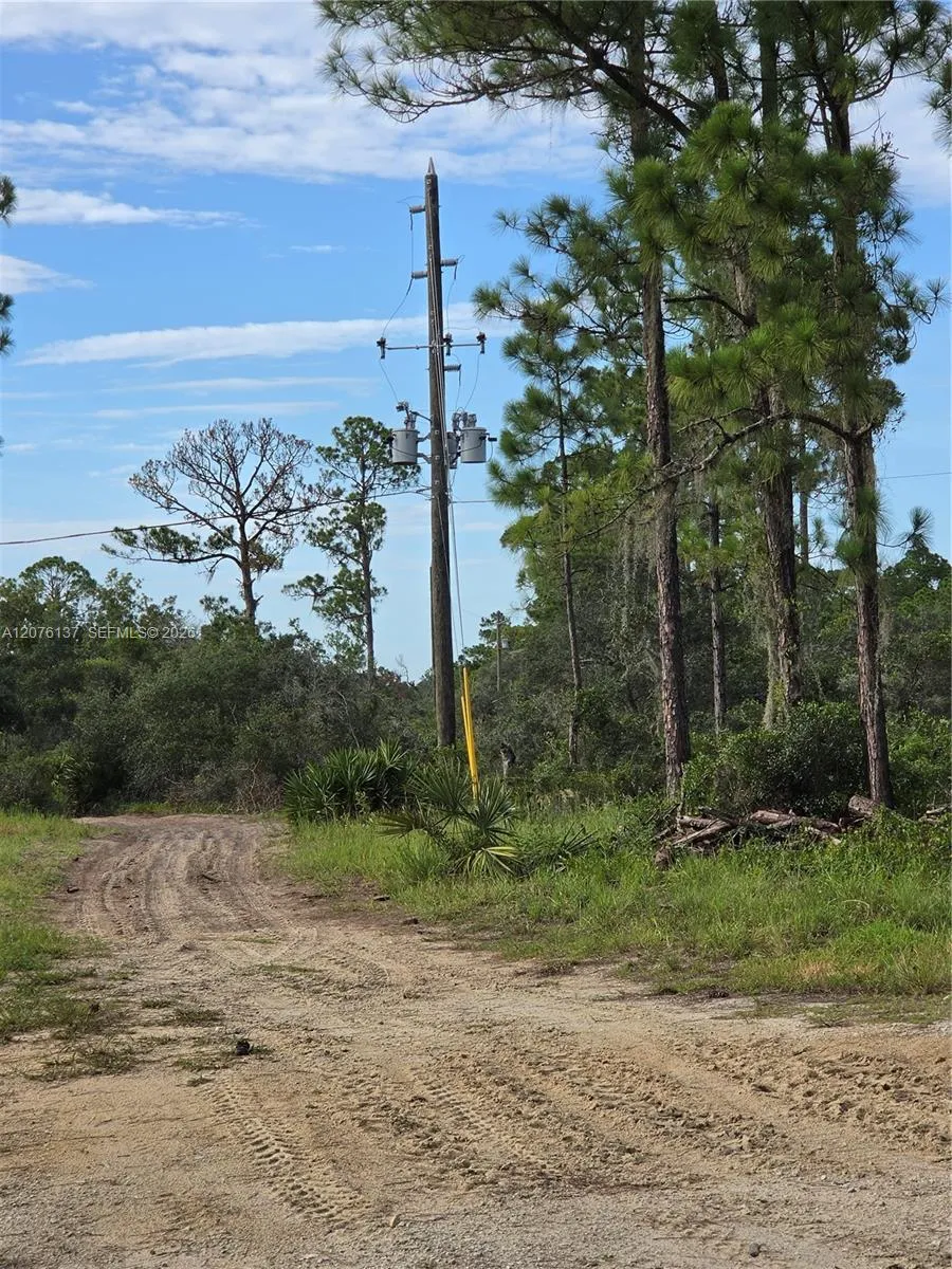 345 Rolling Hills Dr Lake Placid, FL 33852