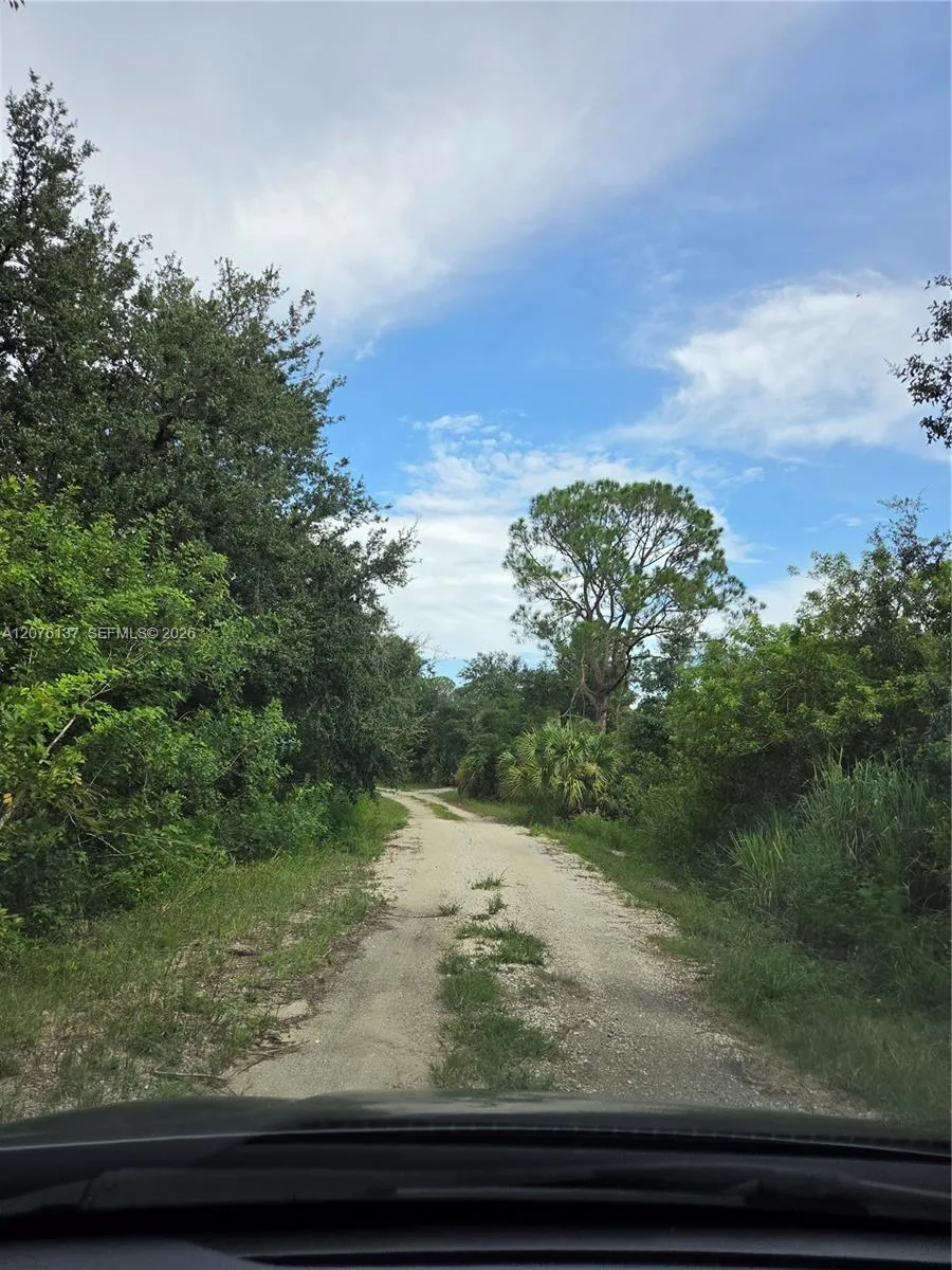 345 Rolling Hills Dr Lake Placid, FL 33852
