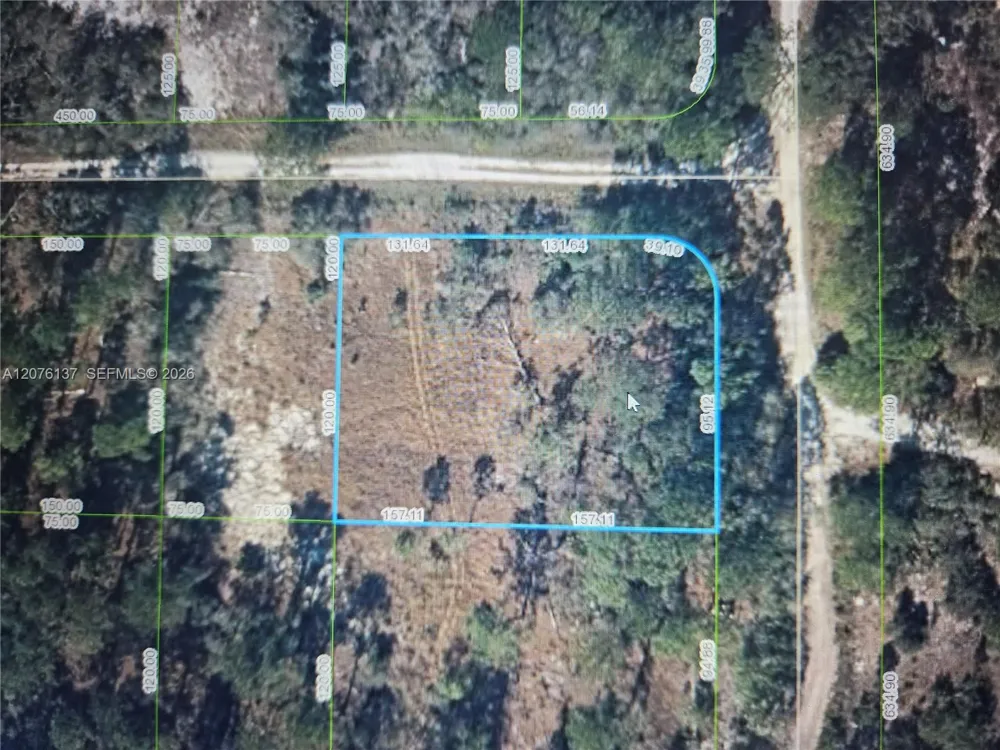345 Rolling Hills Dr Lake Placid, FL 33852