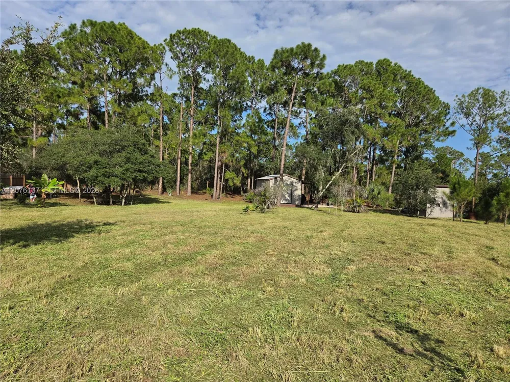 345 Rolling Hills Dr Lake Placid, FL 33852