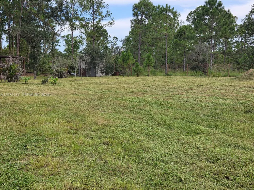 345 Rolling Hills Dr Lake Placid, FL 33852