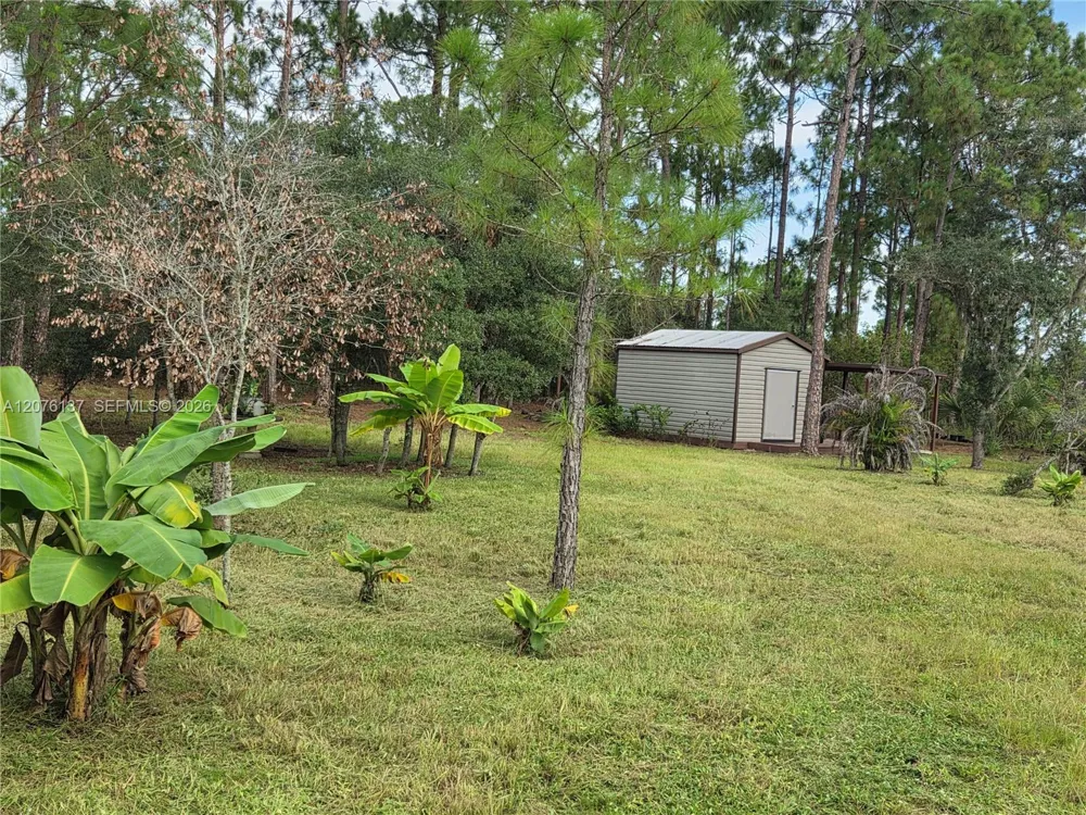345 Rolling Hills Dr Lake Placid, FL 33852