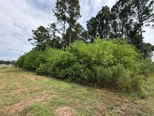 161 County Road 6614 Dayton, TX 77535