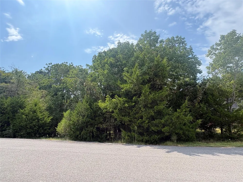 23 Pine Harbour Drive Coldspring, TX 77331