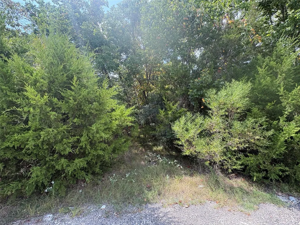 23 Pine Harbour Drive Coldspring, TX 77331