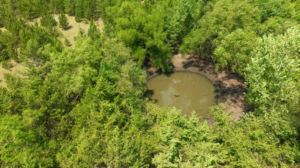 County Road 13600 Paris, TX 75462