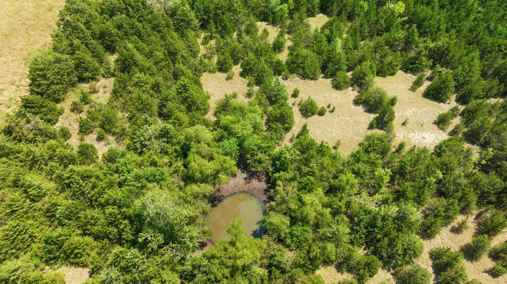 County Road 13600 Paris, TX 75462
