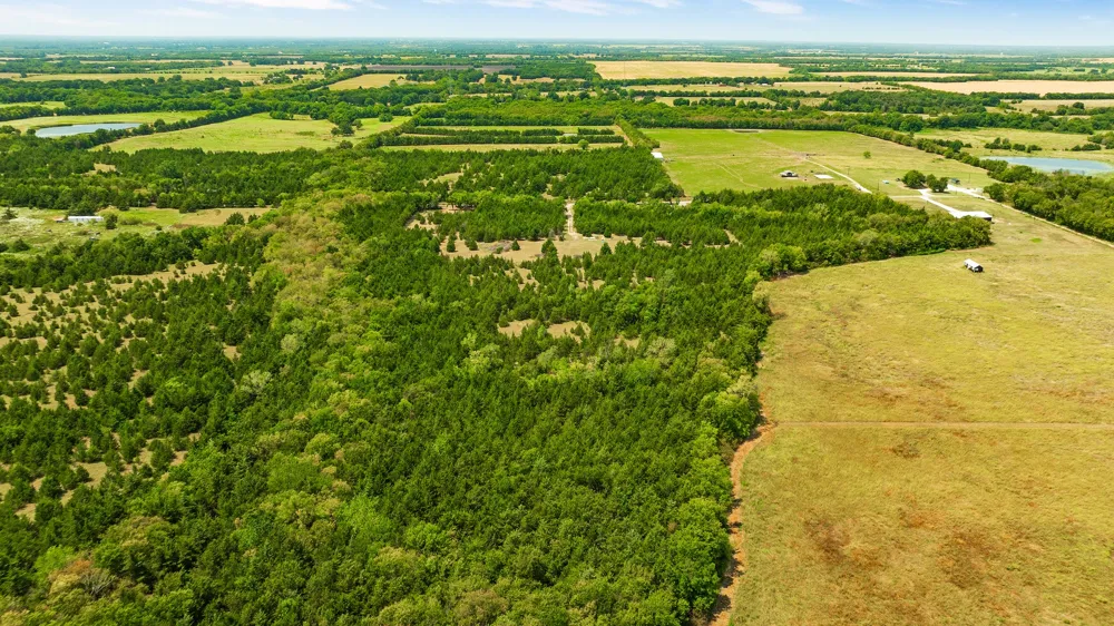 County Road 13600 Paris, TX 75462