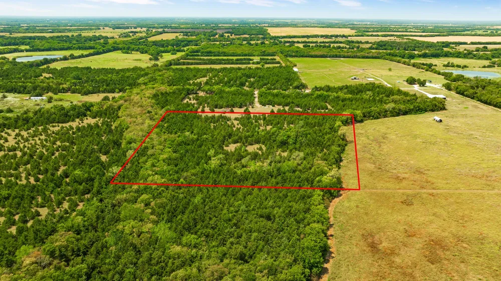 County Road 13600 Paris, TX 75462
