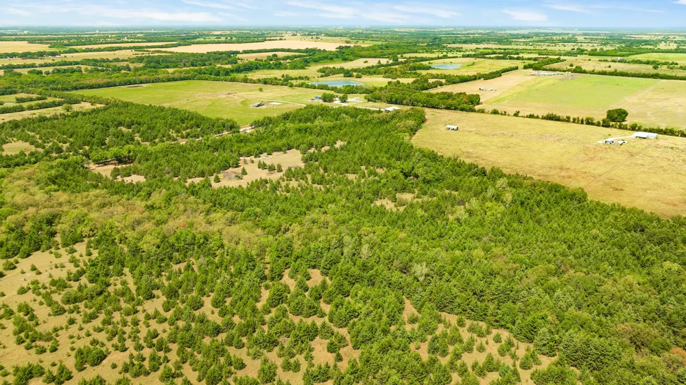 County Road 13600 Paris, TX 75462