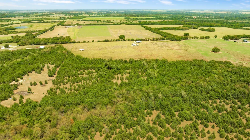 County Road 13600 Paris, TX 75462