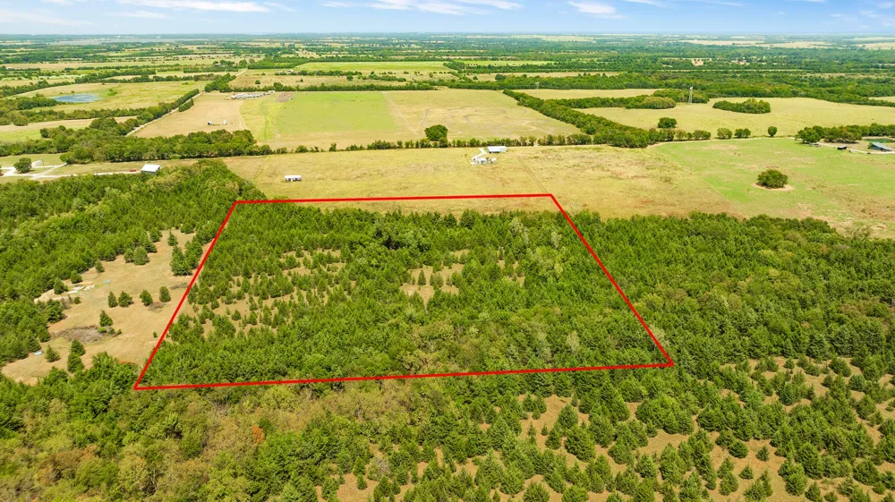 County Road 13600 Paris, TX 75462