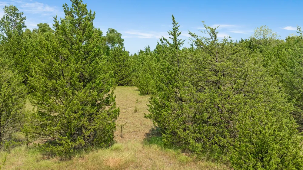 County Road 13600 Paris, TX 75462