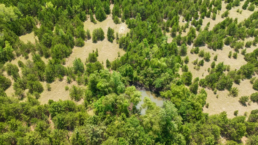 County Road 13600 Paris, TX 75462