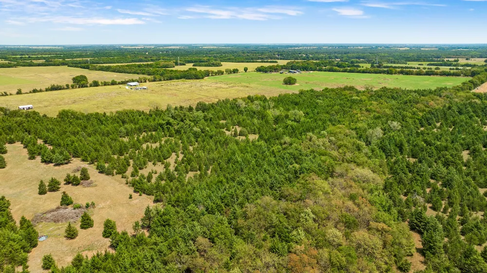 County Road 13600 Paris, TX 75462